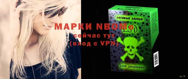 крисы Верхний Тагил