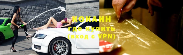 крисы Верхний Тагил