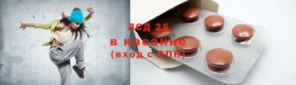 крисы Верхний Тагил