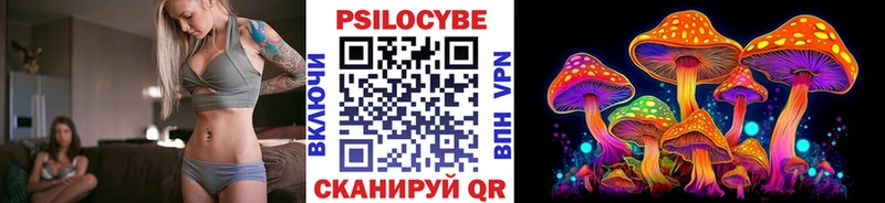 Галлюциногенные грибы Psilocybe Купить где Ардон